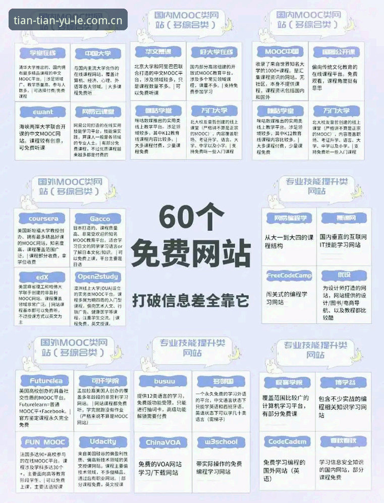 如何找到最稳定的天天娱乐地址？行业趋势与实用指南解析